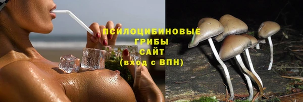 твердый Кинешма