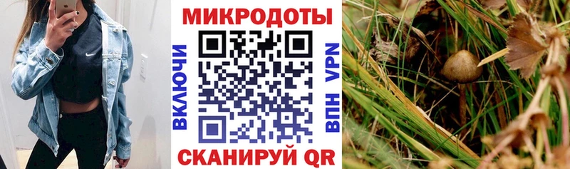 Галлюциногенные грибы прущие грибы  Купить где  Очёр 